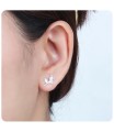 Rose Silver Studs Earrings STF-420
